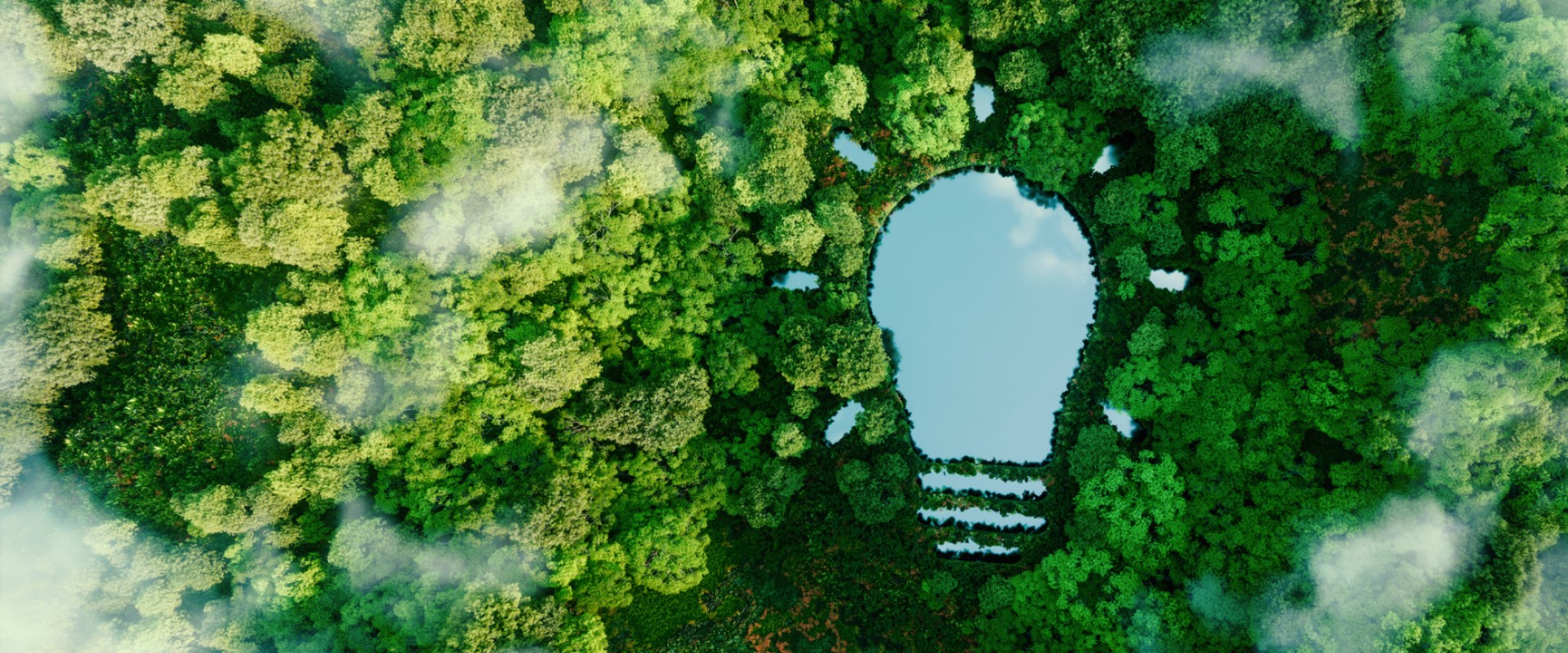 Innovative Engineering Solutions for Sustainability