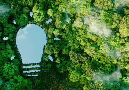 Innovative Engineering Solutions for Sustainability
